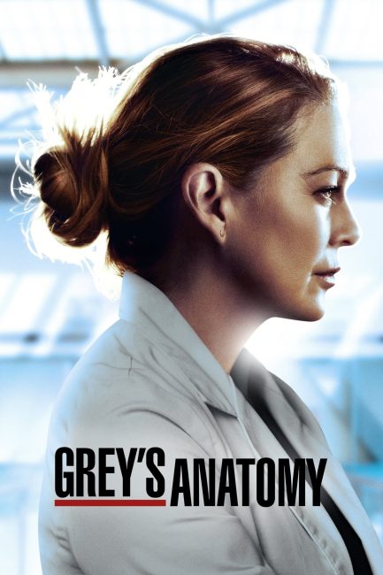 مسلسل Grey’s Anatomy الموسم 17 الحلقة 9 مترجمة